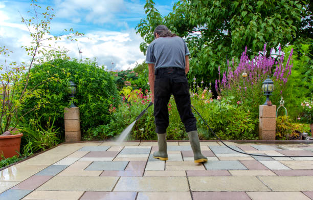 Best Animal Enclosure Cleaning  in Riverview, FL